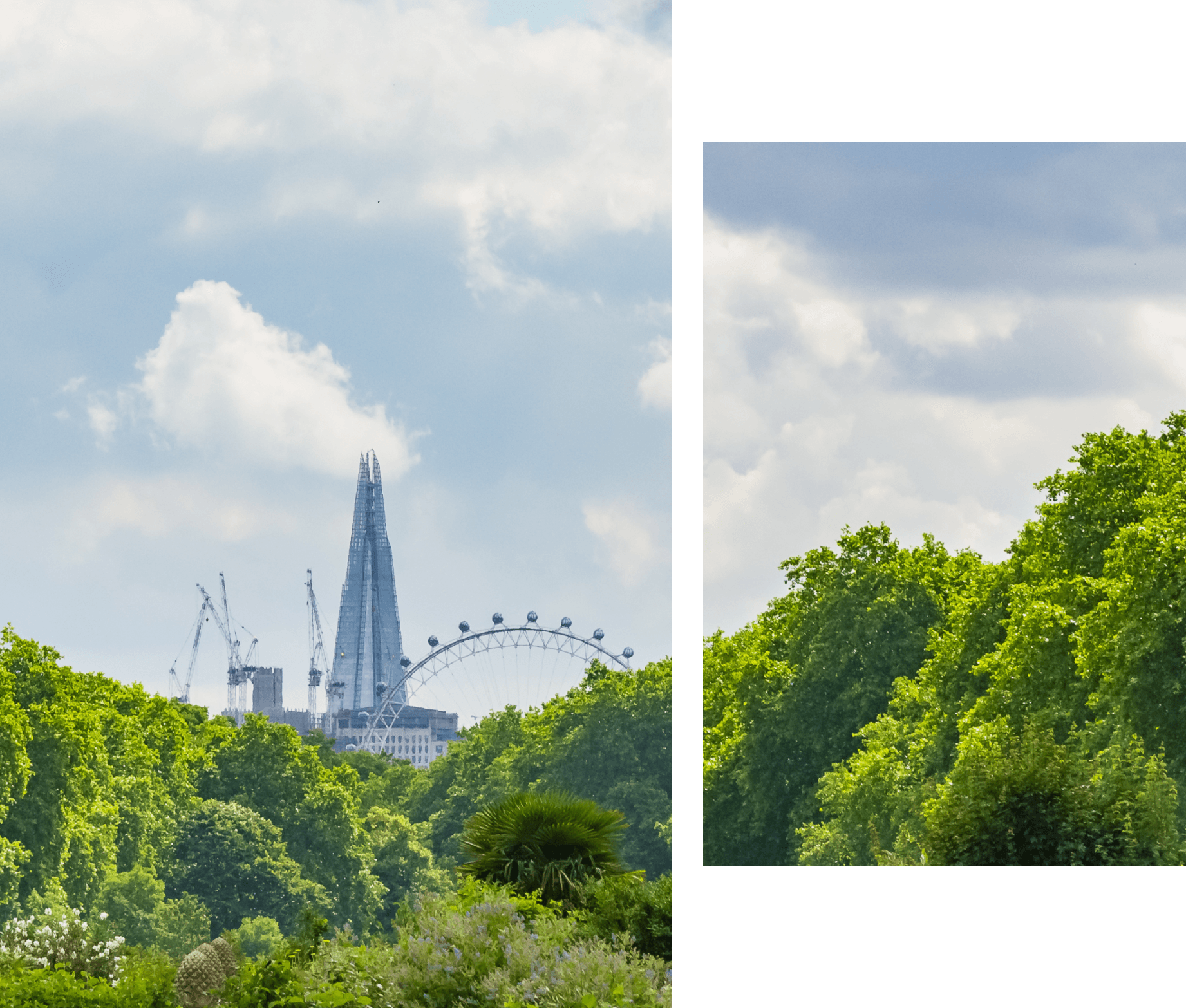 esg-engaging-with-environment